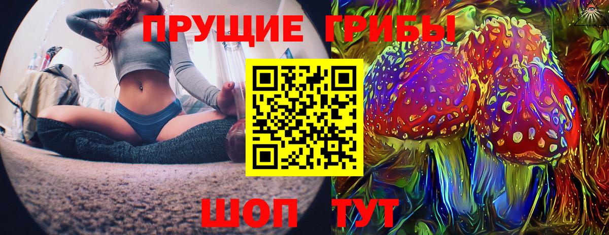 Псилоцибиновые грибы GOLDEN TEACHER  Вход с VPN  Батайск 