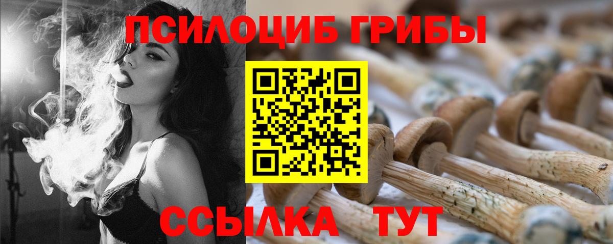 Псилоцибиновые грибы Cubensis Батайск